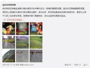 免费农村嫖妓在线视频,免费视频背后的黑暗真相