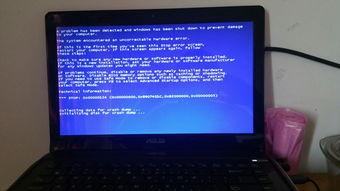 播放在线视频蓝屏,揭秘网络直播背后的技术挑战