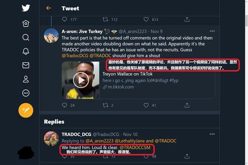 本国在线视频,我国在线视频内容概览
