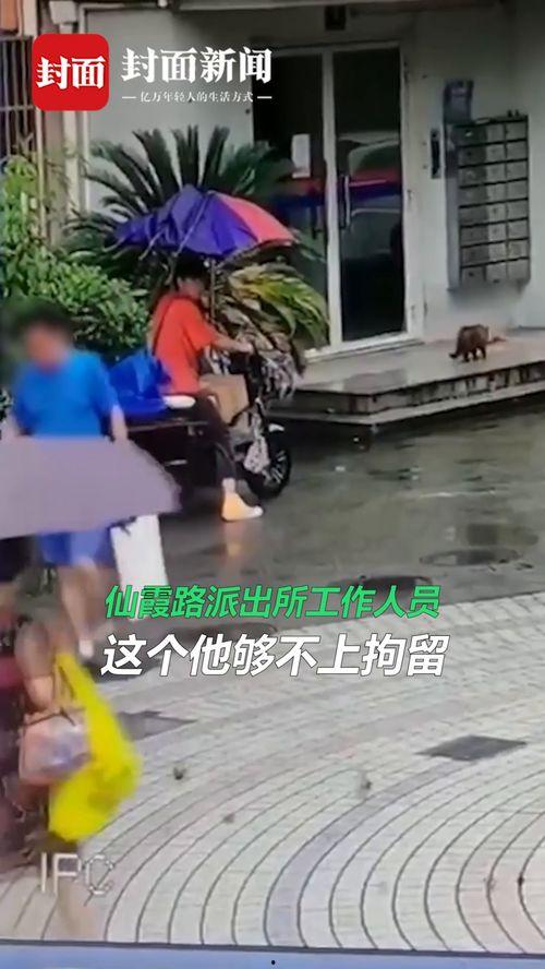 狠狠踩在线视频,揭秘网络暴力背后的黑暗面