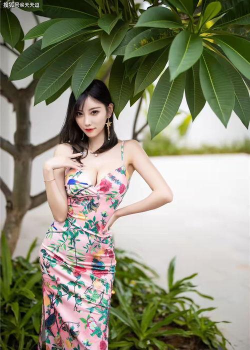 精品少妇系列在线视频