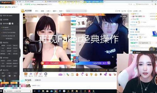 冰城玫姿在线视频,一场视觉与情感的盛宴