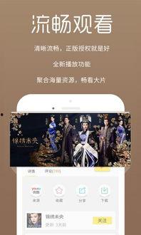 黑猫影院在线视频播放,畅享在线视频，尽享视听盛宴