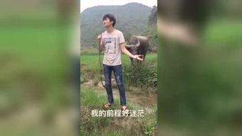 好看伦理福利在线视频
